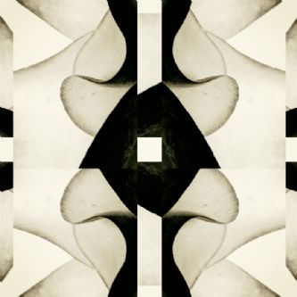 Desert Garden II - Foto 9