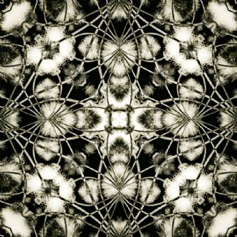 Desert Garden II - Foto 13