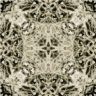 Desert Garden II - Foto 24