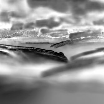 Origen 3666RC2015 - 90 x 90 cm - Fotografía / Papel Hahnemühle Museum Etching 350 gr