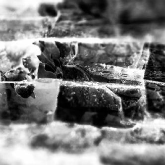 Origen 3597RC2015 - 90 x 90 cm - Fotografía / Papel Hahnemühle Museum Etching 350 gr