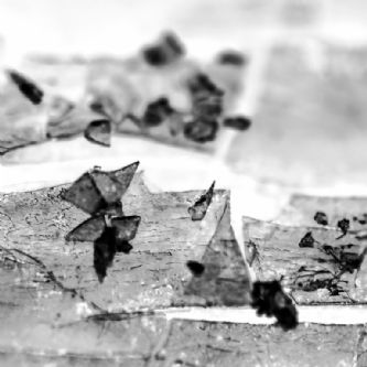 Origen 3852RC2015 - 90 x 90 cm - Fotografía / Papel Hahnemühle Museum Etching 350 gr