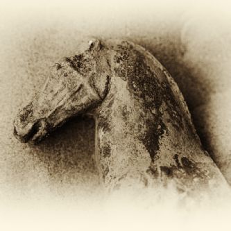 Heryca los viajes de Sirus - Foto 3
