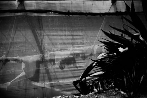 Escenografías - Foto 20