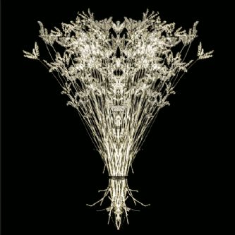 Desert Garden 002-DGI