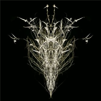 Desert Garden 003-DGI