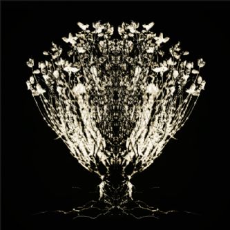Desert Garden 005-DGI