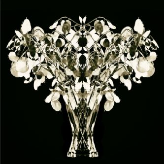 Desert Garden 024-DGI