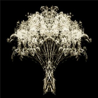 Desert Garden 028-DGI