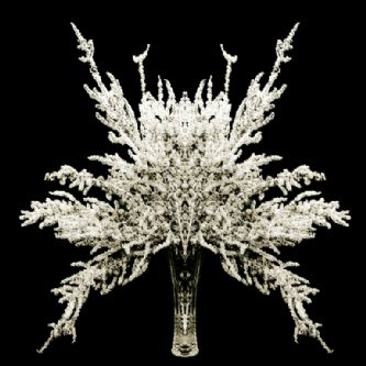 Desert Garden 058-DGI