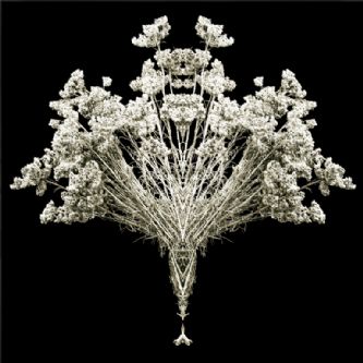 Desert Garden 066-DGI