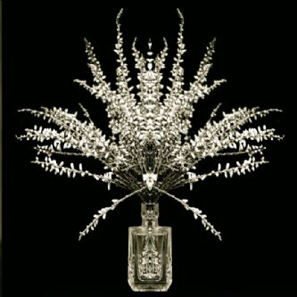 Desert Garden 067-DGI