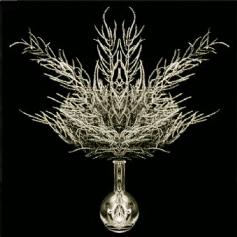 Desert Garden 068-DGI