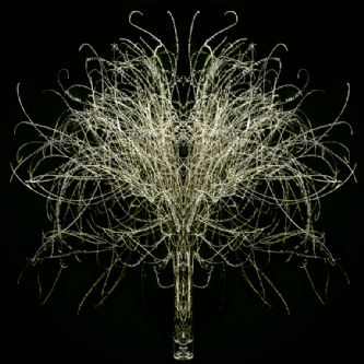 Desert Garden 069-DGI
