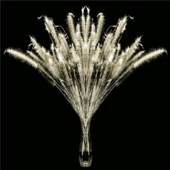 Desert Garden 070-DGI