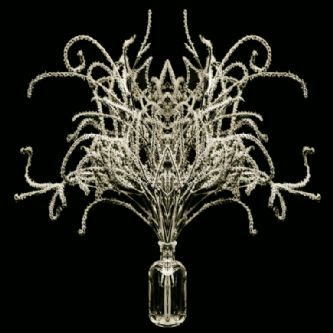 Desert Garden 071-DGI