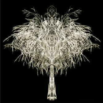 Desert Garden 072-DGI